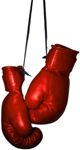 gloves gloves